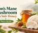 Lion’s Mane Mushroom with Sidr Honey